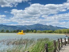 -野鸭湖国家湿地公园