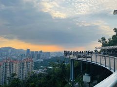 -板樟山森林公园