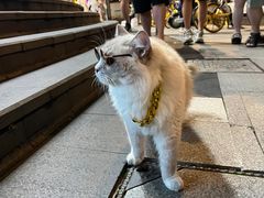 -泥糊破店小酒馆·团建聚餐(南京西路店)