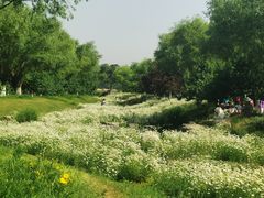 -汉长安城未央宫国家考古遗址公园