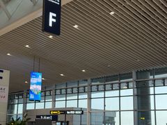 -青岛胶东国际机场