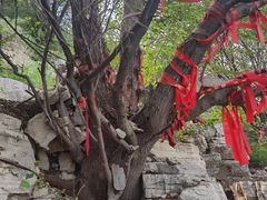 -青州市云门山风景区