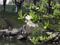 -江南大学(蠡湖校区)