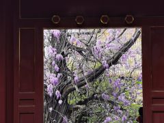 -北京国子监胡同
