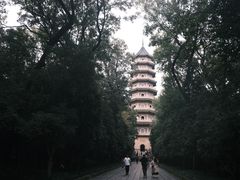 -灵谷景区