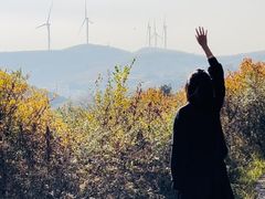 -五龙城郊森林公园