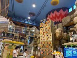 -卡通尼·Safari非洲探索乐园·生日会(金桥国际商业广场店)