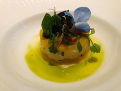 北海道扇贝塔塔-蝶舍·MAISON PAPILLON