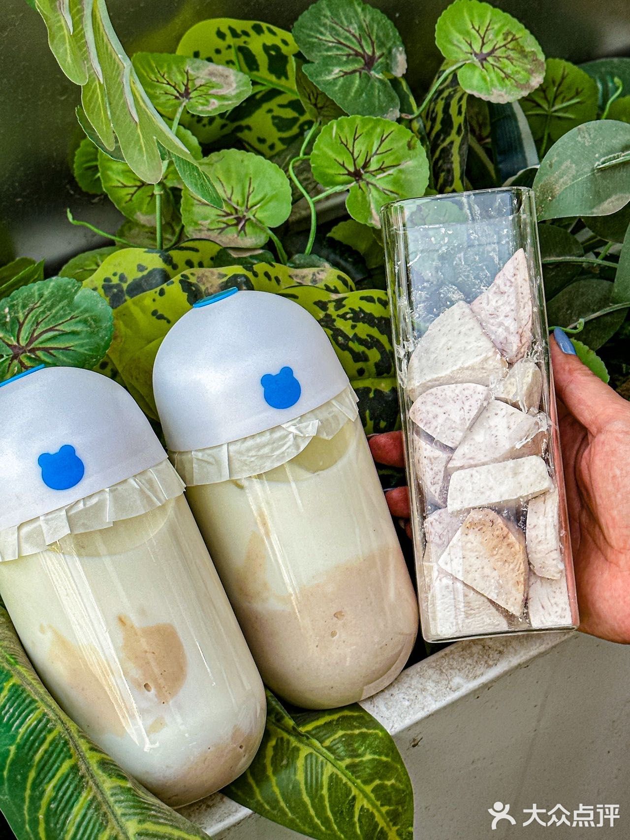 一整颗现开牛油果🥑，不喝真的会后悔！