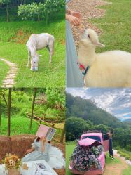 -花漾摄影优选工作室(东莞原创作品店)