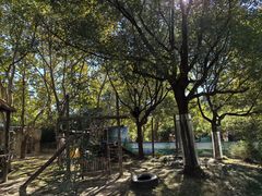 -上海野生动物园