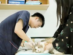 -贝利宠物医院·骨科·眼科·肿瘤转诊中心(南坪诊疗中心)