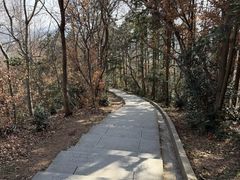-冶父山国家森林公园