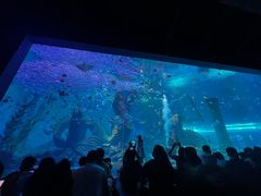 -哈尔滨波塞冬海底世界