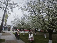 -国际非物质文化遗产博览园