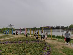 -金卉庄园