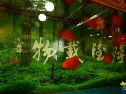 点击看大图 -煊私人定制美发会所
