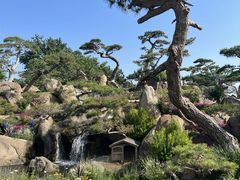 -罗红摄影艺术馆