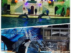 -台州海洋世界