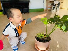 -小象润知早教·托育·幼儿园成长中心