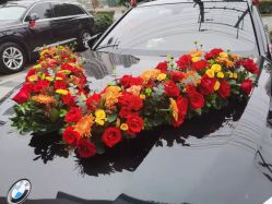 -蚂蚁婚车