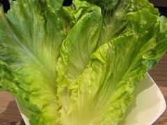 -额尔敦·品质自助(摩尔城店)