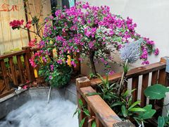 -王捌小院(红花坡店)