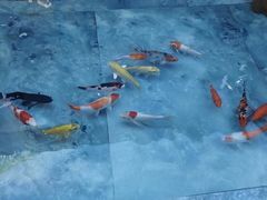 -57度湘(王府井10F店)