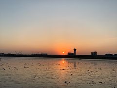 -南汇嘴观海公园