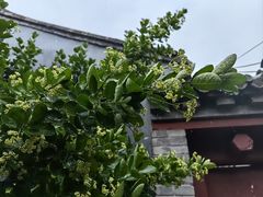 -三里河公园