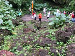 -海口火山口国家地质公园