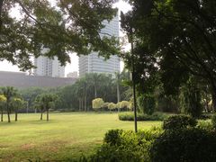 -东风公园