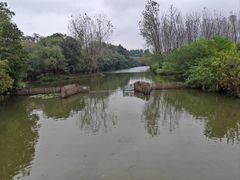 -溱湖国家湿地公园