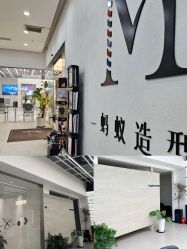 -蚂蚁造型俱乐部