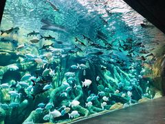 -波塞冬旅游度假区