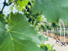 -北京张裕爱斐堡酒庄