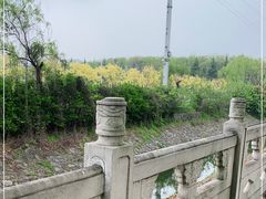 -东南大学(九龙湖校区)