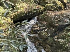-波尔登森林公园