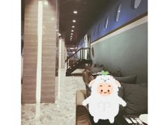 -法兰度航空主题餐厅(河源店)