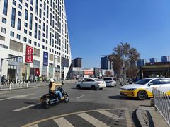 -奥体中心(地铁站)