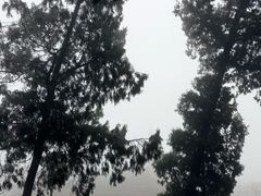 -金堂县云顶石城风景区