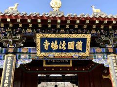-护国法轮寺