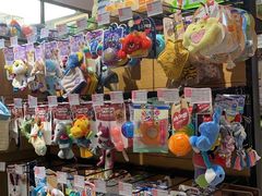 -FAELING PETS美天灵宠物(富力广场店)