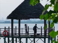 -瑶湖郊野森林公园