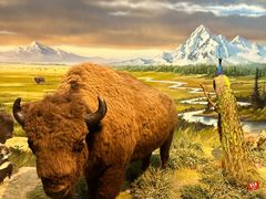 -陕西自然博物馆