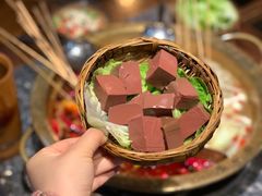 -欧阳小姐在成都(鼓楼店)