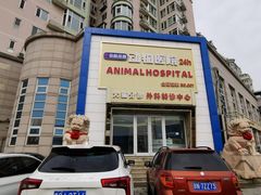 -全心全意动物诊疗中心医院(北苑店)