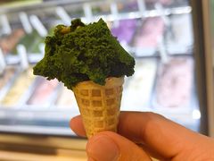 -鹤茶野所(上海首店)