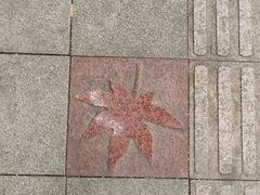-香山公园