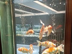 -浩运海鲜·16年专注青岛菜(石老人店)